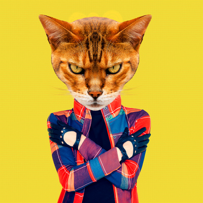 Minimal Contemporary Collage Art. Stylish Hipster Cat.